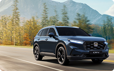 SUV / CROSSOVER